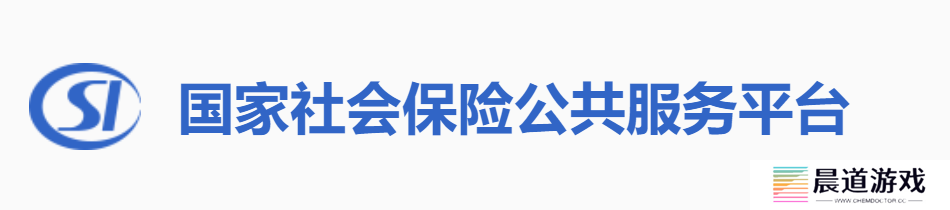 国家社会保险公共服务平台查询_国家社会保险公共服务平台